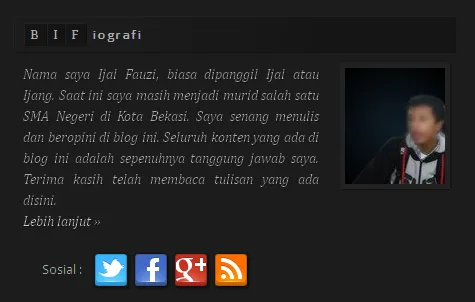 biografi penulis