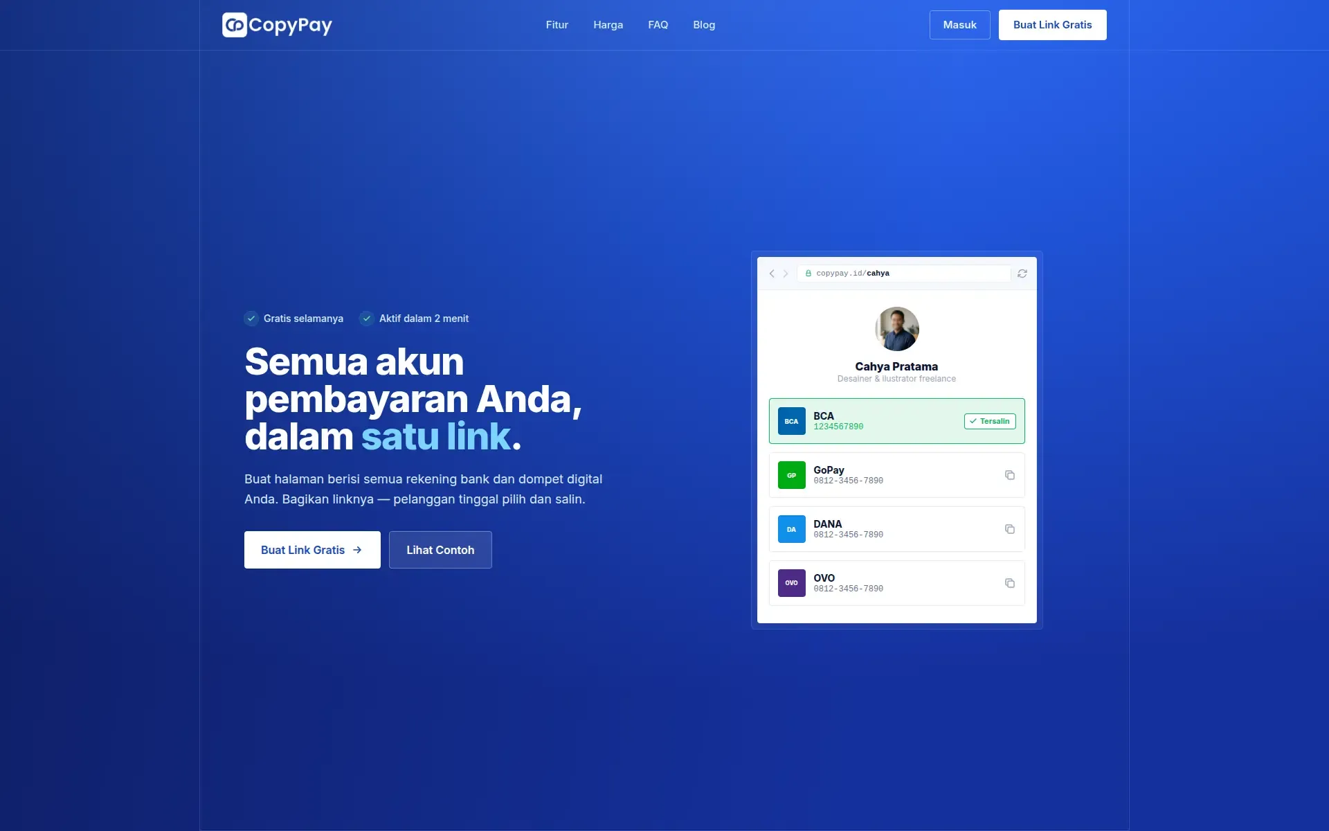 CopyPay landing page with the headline and a preview of a public payment page