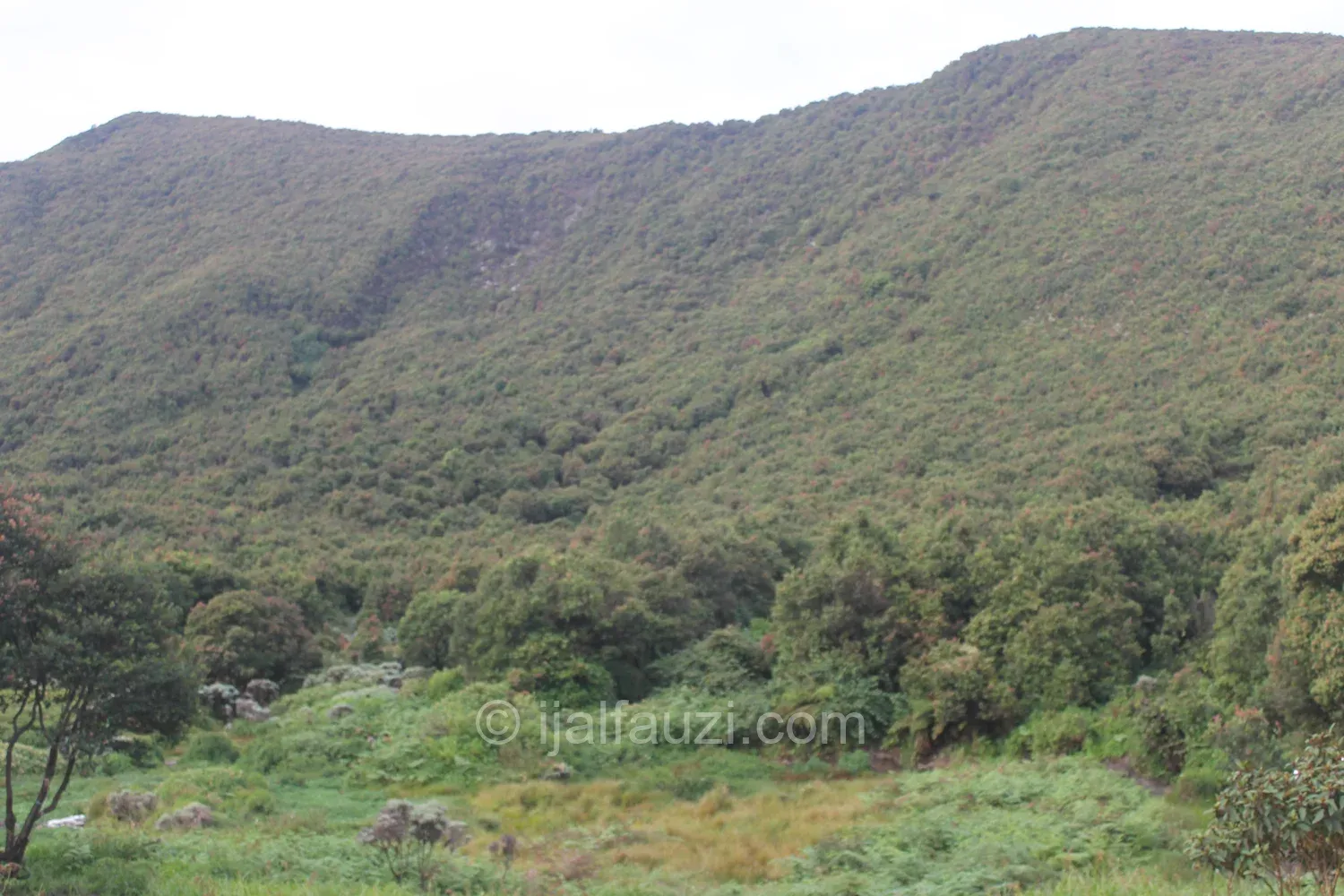 Fun Hiking to Papandayan