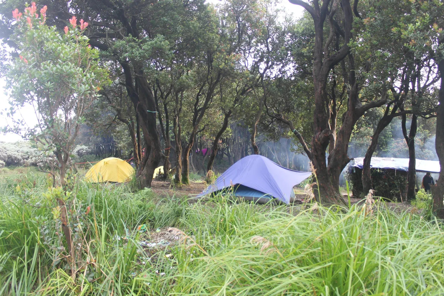 Fun Hiking to Papandayan