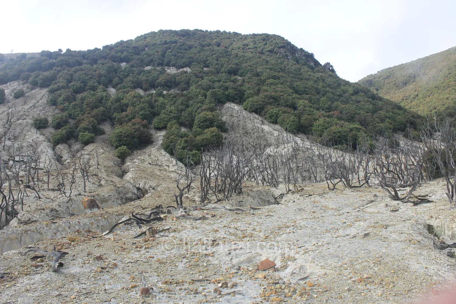 Fun Hiking to Papandayan