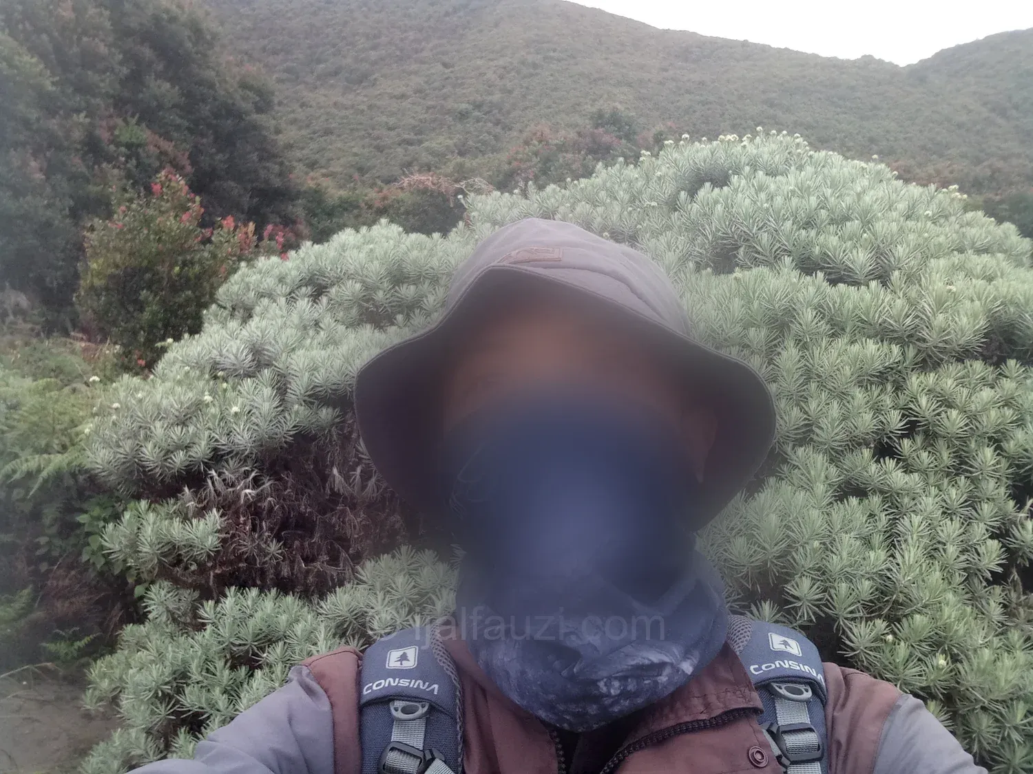 Fun Hiking to Papandayan