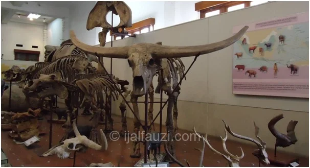 Museum Gelologi Bandung