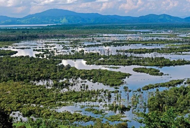 Danau Sentarum