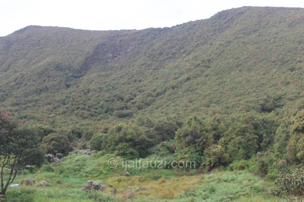 Fun Hiking to Papandayan