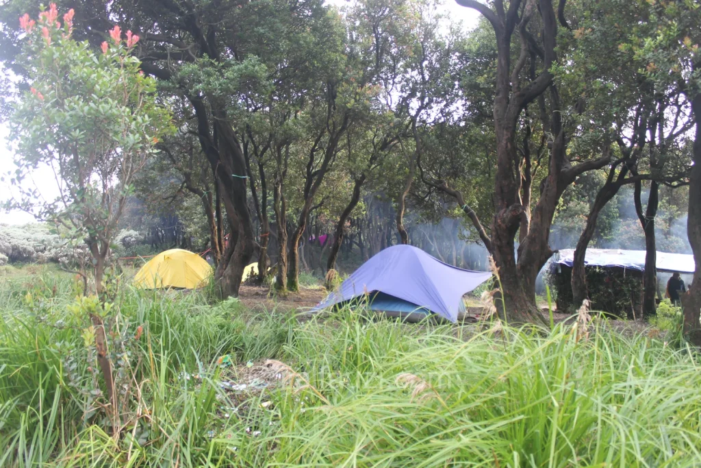 Fun Hiking to Papandayan