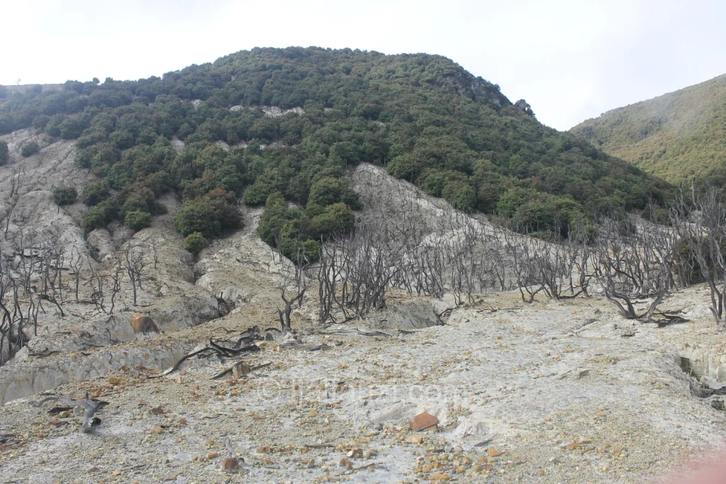 Fun Hiking to Papandayan