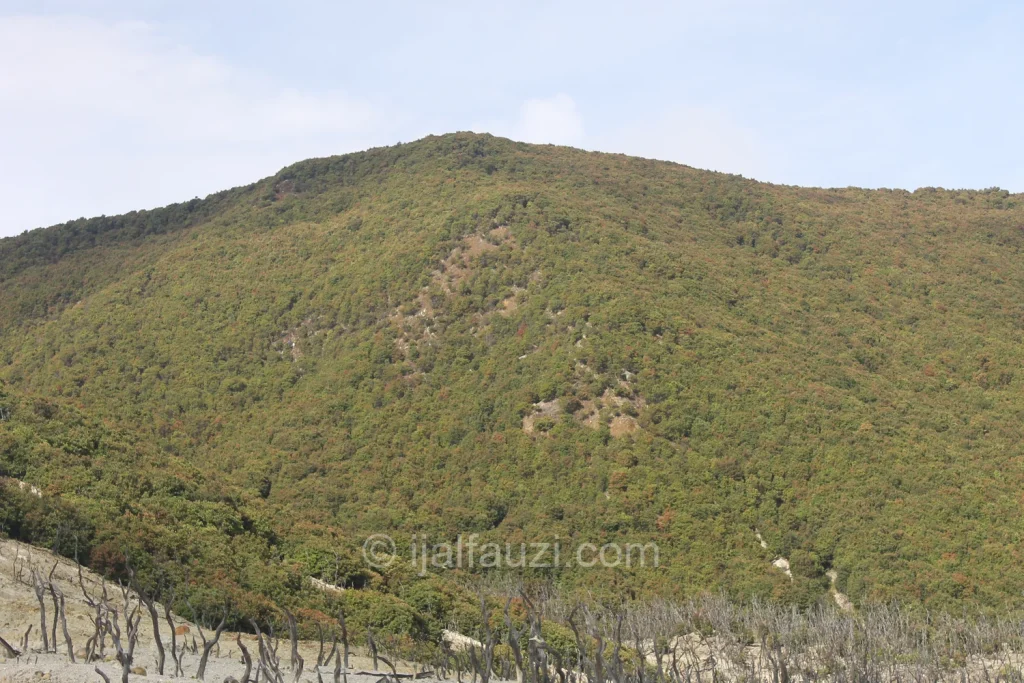Fun Hiking to Papandayan