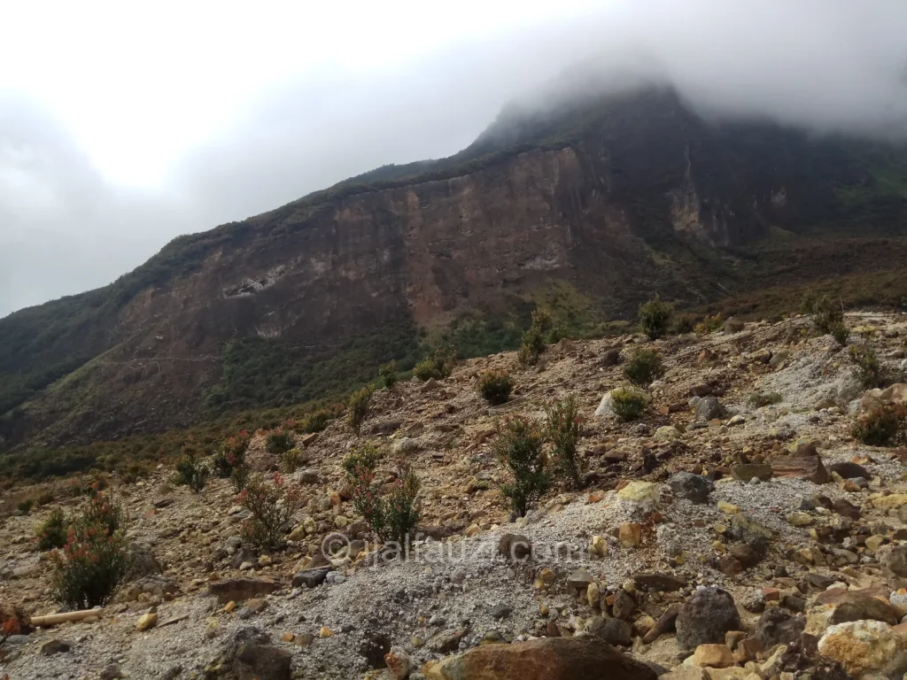 Fun Hiking to Papandayan