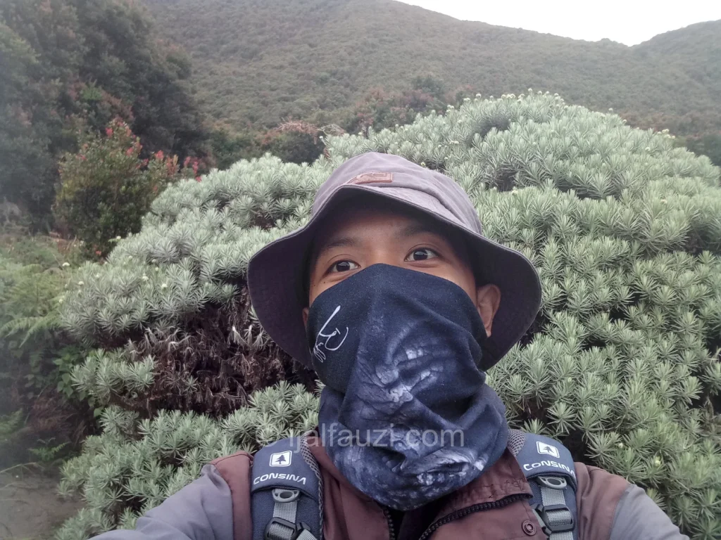 Fun Hiking to Papandayan