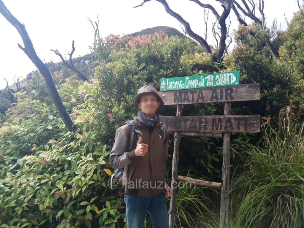 Fun Hiking to Papandayan