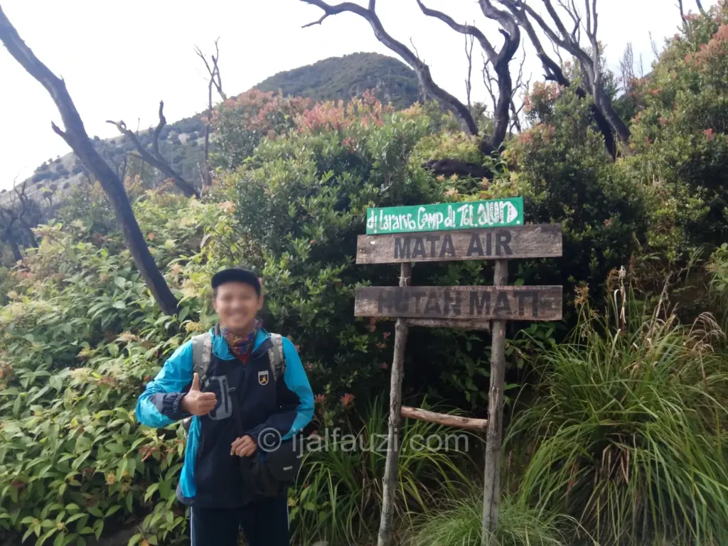 Fun Hiking to Papandayan
