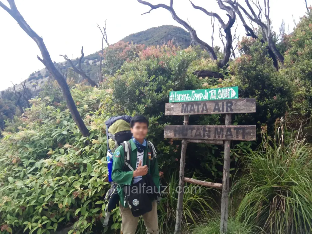Fun Hiking to Papandayan
