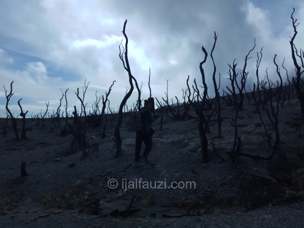 Fun Hiking to Papandayan