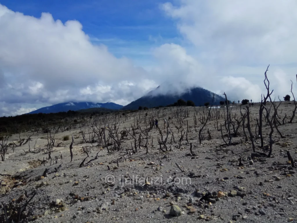 Fun Hiking to Papandayan