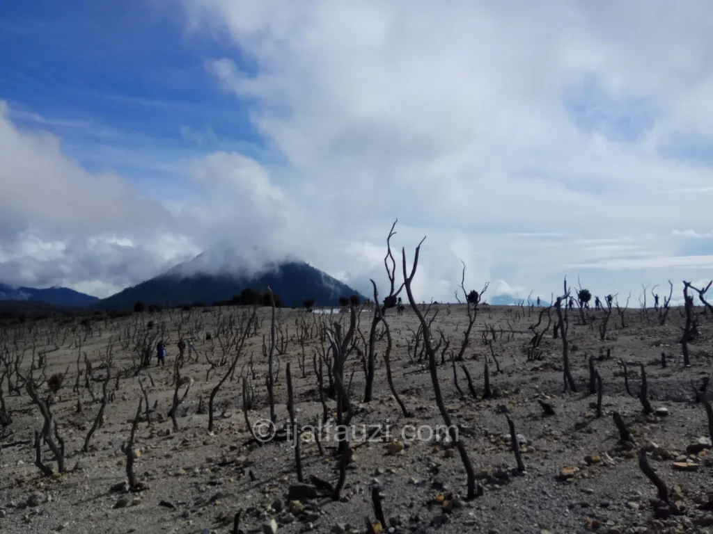 Fun Hiking to Papandayan