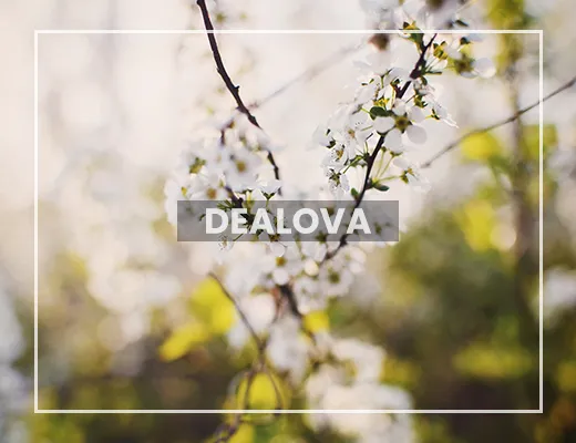 Dealova - Once Mekel